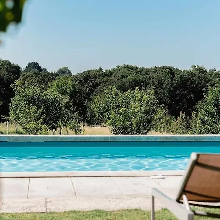 Domaine De La Peyrine - Pinson *