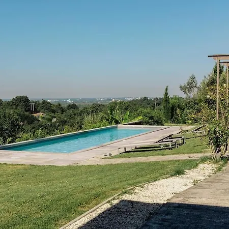 Domaine De La Peyrine - Pinson *