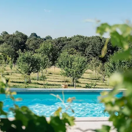 Domaine De La Peyrine - Pinson