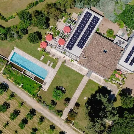 Domaine De La Peyrine - Pinson