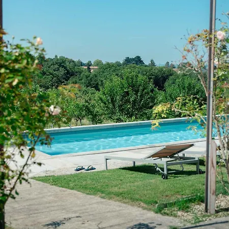 Domaine De La Peyrine - Pinson *